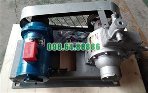 Bơm khí lỏng NH3 model YQB2-5